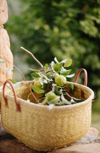 Glendonald Farrm 164