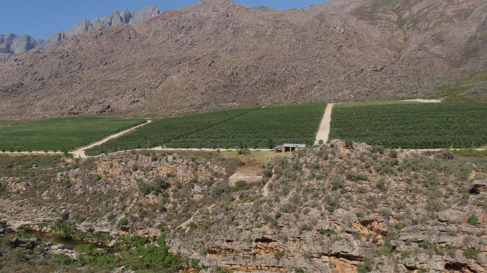 Klipspringer Slider1